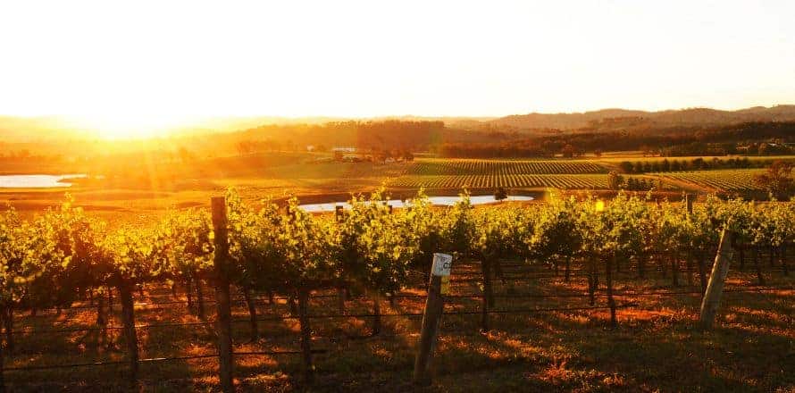 Mudgee Wine And Tranquility In The Countryside